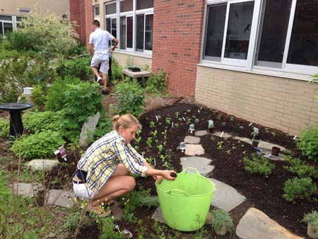 MedicinalGard1Website