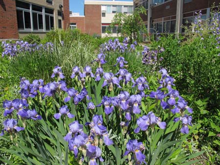 silverwebsite_edited-1